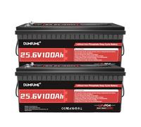 Dumfume Batterie Lithium LiFePO4 avec BMS, 4000-15000 Cycles Batterie LiFePO4 pour Camping-Car, Kit Solaire Complet, Camping Et Stockage D'Énergie Domestique (2 * 24V 100Ah (535×205×215mm))