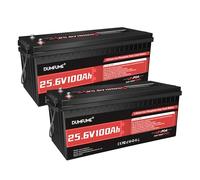 Dumfume Lot De 2 Batteries Lifepo4 24V 100Ah - BMS 100A, 2560Wh, Batterie Au Lithium Fer Phosphate Rechargeable Parfaite Pour Camping-Car, Solaire, Hors-RéSeau, Alimentation De Secours Domestique