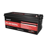 Dumfume Pack de 2 Batterie Lithium 24V 100Ah LiFePO4