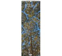DUMONT - Arbres 2026 - Calendrier mural King Size 34 × 98 cm avec 12 photos d'arbres dans le monde entier, calendrier nature pour les amoureux de la nature et les amis des arbres : arbres