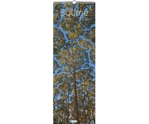 DUMONT - Arbres 2026 - Calendrier mural King Size 34 × 98 cm avec 12 photos d'arbres dans le monde entier, calendrier nature pour les amoureux de la nature et les amis des arbres : arbres