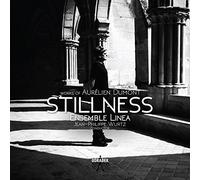 Dumont, Aurélien : Stillness