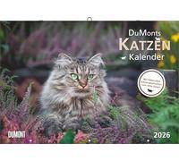 DUMONT Calendrier chat 2026 - Calendrier brochures 42 x 29 cm avec 12 portraits de chats, histoires littéraires et dates de vacances scolaires, calendrier mural pour les amoureux des chats