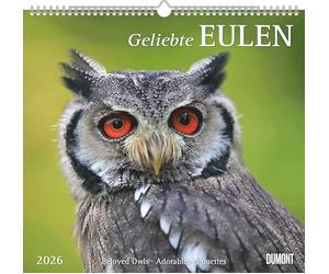 DUMONT - Chouettes bien-aimées 2026 - Calendrier Mural 38x36cm Calendrier Animaux avec 12 Motifs Hiboux pour les amoureux de la nature et des animaux : Beloved Owls - Adorables chouettes