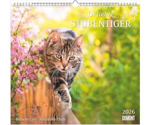 DUMONT - Tigre de maison bien-aimé 2026 - Calendrier mural 38 x 36 cm avec 12 motifs de chats, calendrier décoratif d'animaux pour les amoureux des chats : Beloved Cats - Adorables chats
