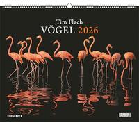 DUMONT - Tim Flach: Vögel 2026 - Posterkalender 60 x 50 cm - Faszinierende Vogel-Porträts für Tierfreunde & Fotografie-Liebhaber