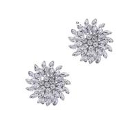 DUMRALBQE Pinces à Chaussures en Argent Strass Chaussures de mariée à talons hauts Clip chaussures mariage en strass boucle pour la Décoration de Chaussures