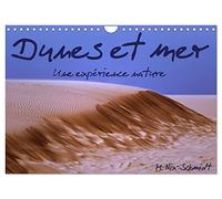 Dunes et mer - Une expérience nature (Calendrier mural 2026 DIN A4 vertical), CALVENDO calendrier mensuel: La mer et les dunes sont un habitat unique ... découvertes à l'observateur attentif.