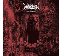 Dungen - Into The Ruins
