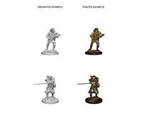 Dungeons And Dragons Nolzurs Marvelous Unpainted Miniatures - Human Male Bard