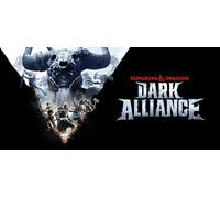 Dungeons Dragons: Dark Alliance (PC)