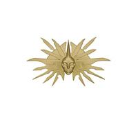 Dungeons & Dragons médaillon Lady of Pain Limited Edition