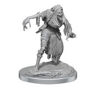 Dungeons & Dragons Nolzur's Marvelous Unpainted Miniatures : Nosferatu
