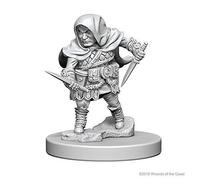 Dungeons & Dragons Nolzurs Marvelous Unpainted Minis Halfling Male Rogue By Wizkids