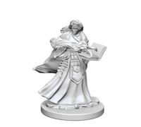 Dungeons & Dragons: Nolzur's Marvelous Unpainted Minis: Human Female Wizard
