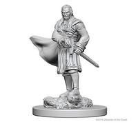 Dungeons & Dragons Nolzurs Marvelous Unpainted Minis Vampires