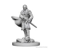 Dungeons & Dragons Nolzurs Marvelous Unpainted Minis Vampires