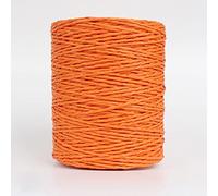 DUNGS 280 mètres de Fil de Paille de Raphia Naturel pour l'été tricoté à la Main Crochet Chapeau Sac à Main Coussin paniers matériel à Tricoter Fils colorés