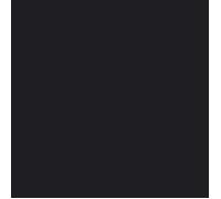 DUNI - 20 Serviettes ouate 33x33cm 3 plis Noir