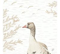 Duni Bio Dunisoft Serviettes Wood & Goose 40x40cm 60