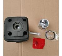 DUNLAP KIT CYLINDRE OM43 40 MM for DÉBROUSSAILLEUSE EF4300, SEGMENTS DE PISTON, CLIPS À BROCHES, ENSEMBLE 61330244 61330277 61202022(Premium Cyl. Kit)