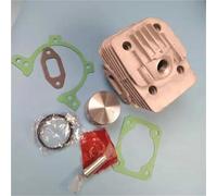 DUNLAP Kit cylindre-piston 35 mm for débroussailleuse FS160 : joint de carter, segment, axe, clips, ensemble 41190201203(10 PCS PACKED KIT)