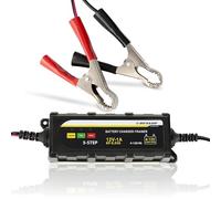Dunlop Chargeur de batterie voiture et moto Trainer 6/12 V Noir