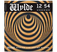 Dunlop Zakk Wylde Acoustic 12-54
