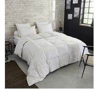 DUNLOPILLO - Couette Premium Naturelle Tempérée - 30% duvet - 140 x 200 cm