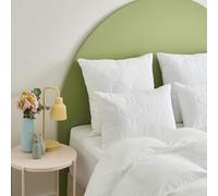 Dunlopillo - Lot de 2 Oreillers Cocoon 40 x 60 cm - Mémoire de Forme - Garnissage Synthétique 60% Flocons Mousse Viscoélastique 40% Fibre Polyester - Tissu Microfibre - Lavable à 40°C