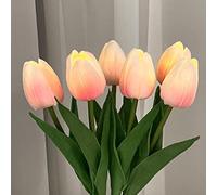 DUNMW Veilleuse LED 6 Tulipes, Simulation Fleur en Pot Veilleuse Veilleuse Pot de Fleur Lumière d'Ambiance Décorative pour Chambre, Décoration d'intérieur, Cadeau (avec Prise)