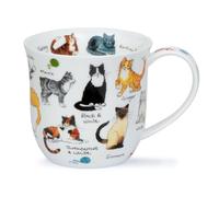 Dunoon Cumbrae Tasse en porcelaine anglaise Motif races de chats 0,45 l