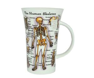 Dunoon en porcelaine en forme de tasse Glencoe - Le corps humain