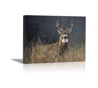 DunPei Moderne Animaux Art Poster Decoration Pour le Le Cerf qui regarde Une décoration murale pour le salon la chambre la cuisine le bureau(Gris)-30x45cm Encadrée