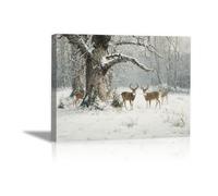 DunPei sur Toile Animal Photos d'œuvres d'art Groupe de cerfs pour Le Bureau à Domicile Décoration Moderne Peinture Murale d'art l'image imprimée(Blanc)-30x45cm Encadrée