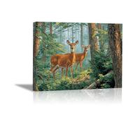 DunPei sur Toile Animal Photos d'œuvres d'art Le cerf de la forêt pour Le Bureau à Domicile Décoration Moderne Peinture Murale d'art l'image imprimée(Vert)-80x120cm Encadrée