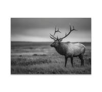 DunPei sur Toile Animal Photos d'œuvres d'art Le cerf pour Le Bureau à Domicile Décoration Moderne Peinture Murale d'art l'image imprimée(Couleur noir et blanc)-80x120cm Sans cadre
