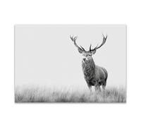 DunPei Tableau mural animal amusant Le Cerf qui regarde sont parfaites pour le salon la chambre la salle de bain ou le bureau(Couleur noir et blanc)-50x70cm Sans cadre