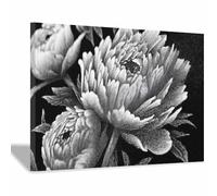 DunPei Tableau Toile Florale Moderne, Des fleurs en colère Décor Mural Abstrait pour Salon, Chambre et Salle de Bain(rose)-80x120cm Encadrée