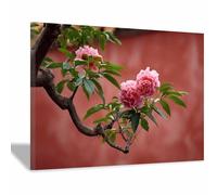 DunPei Tableau Toile Florale Moderne, Des fleurs en colère Décor Mural Abstrait pour Salon, Chambre et Salle de Bain(blanc)-30x45cm Encadrée