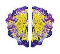 DUNSBY Éventail pour La Danse Orientale Éventail de Danse Papillon 20/30cm, dégradé Soie simulé for Femmes, Accessoire Folklorique Classique plié, Fans Yangge(Fan bone26 length201)