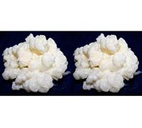 Duo 2x 40g Grains de Kéfir de Lait Frais, ni Poudre ni Séchés - KEFIRALIA