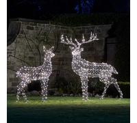 Duo de Grands Rennes de Noël Harlow en Rotin à LED Bicolore