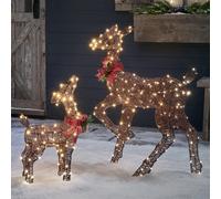 Duo de Rennes de Noël Lumineux Harewood Biche et Faon en Fils de Coton Marrons