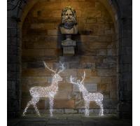 Duo de Rennes Lumineux Duchy à LED Bicolores