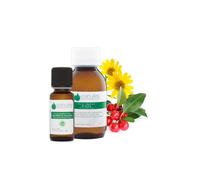 Duo Huile Essentielle De Gaulthérie Couchée 10ml & Huile Végétale De Fleurs D'arnica 100ml -