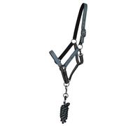 Duo licol et longe collection pour cheval QHP Bleu Mini-Shetland