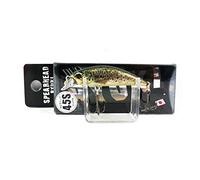 Duo Spearhead Ryuki 45S couleur CCC3815