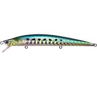 Duo Tide Minnow 120 Slim Dha0405 Sardine Ultra - 12cm - 13g - Rattle - Floating - Tide 120 SL DHA0405