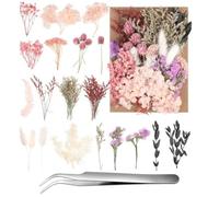 Duoleimi Décoration de Fleurs séchées - Fleurs séchées Naturelles pour l'artisanat, pour la Toussaint, Noël, Bricolage et Plus, Petites Fleurs séchées, avec Pince à épiler Gratuite.